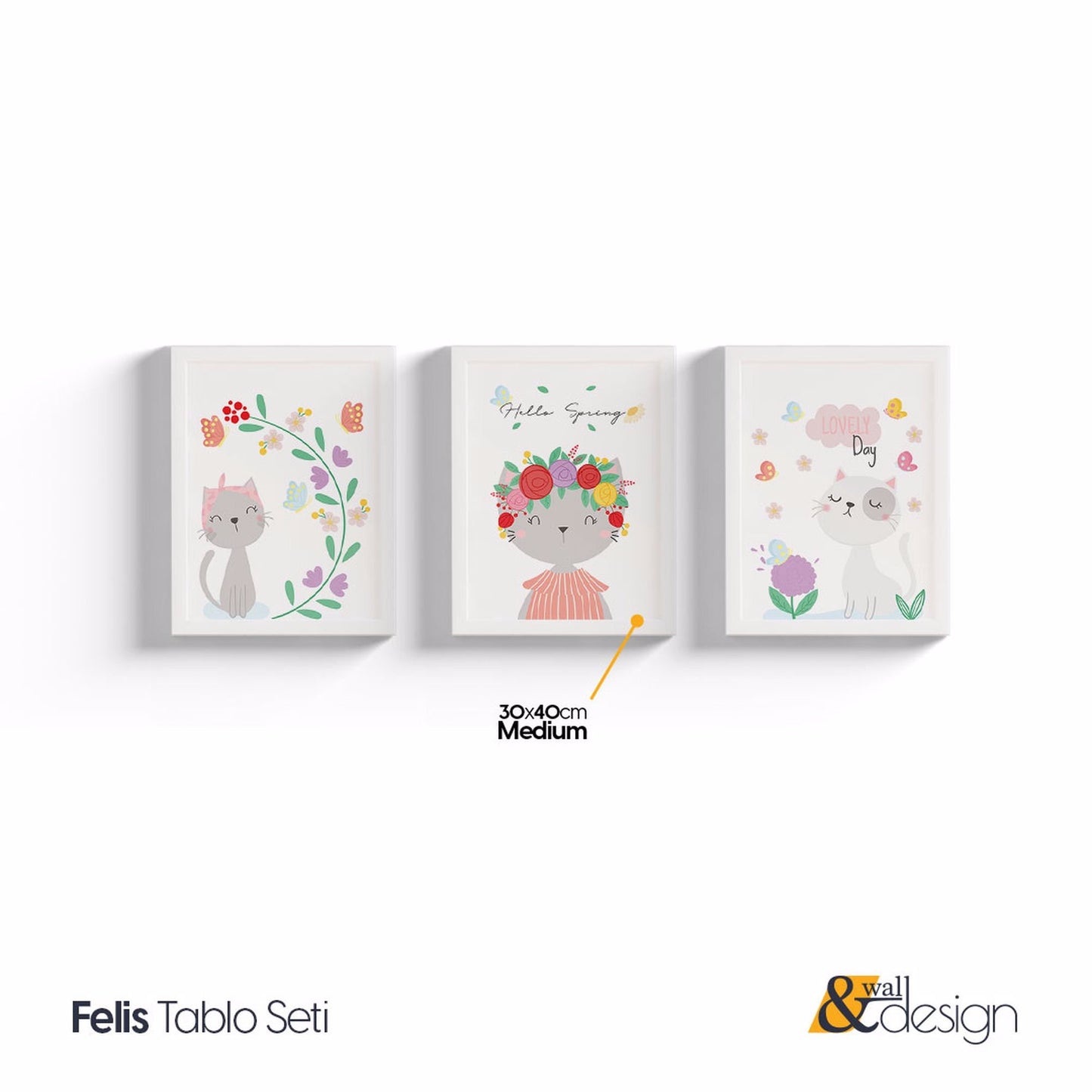 Felis - Sweet Cats Framed Nursery Wall Art Set of 3 Pieces