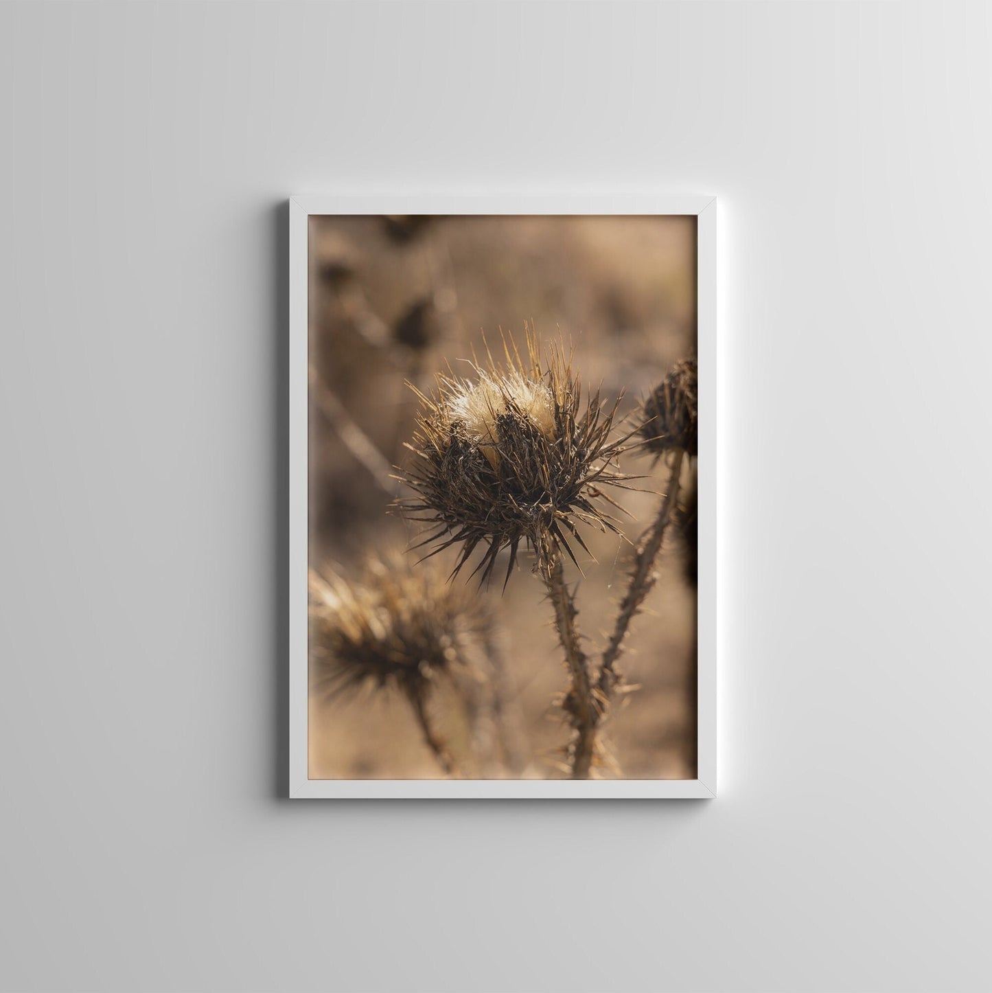 Sun Flowers - Boho Gallery Wall Set of 7 FRAMED Floral Poster