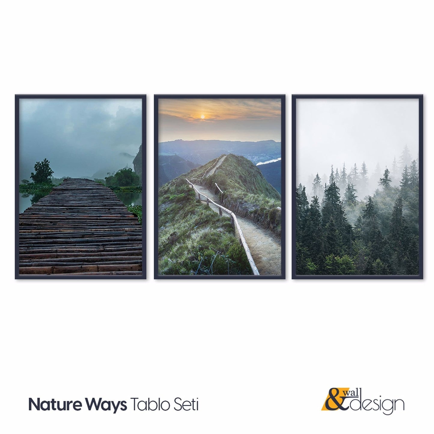 Nature Ways - Nature Forest Art Print Set of 3 FRAMED