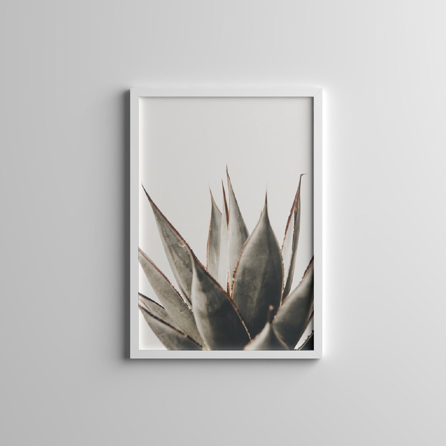 Desert Way - FRAMED Gallery Wall Art Set of 5 Arizona Desert Prints