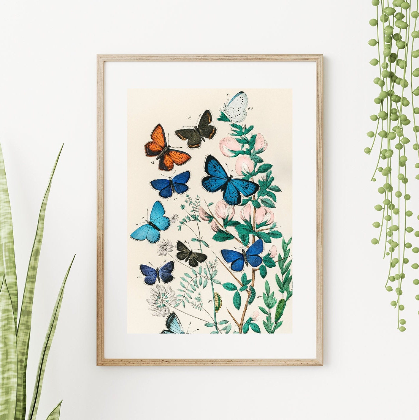 Nature Wings - Pink Flowers 5 Pieces FRAMED Wall Art Set