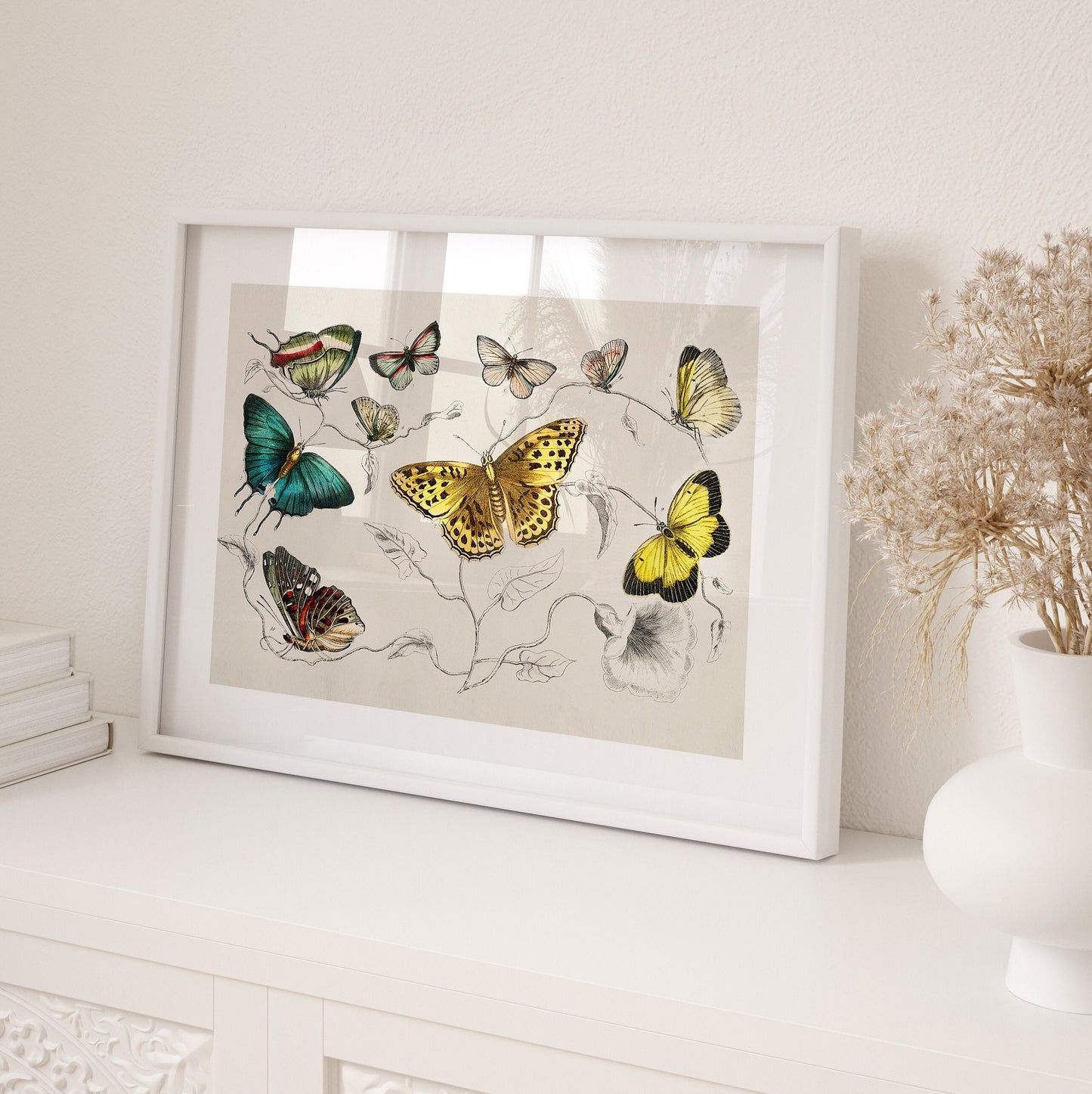 Nature Plus - FRAMED Gallery Wall Art Set of 5 Exhibition Poster Set