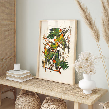 Vintage Bird Illustration 3 Piece Wall Art Set - Flamingo, Lovebirds & Pelican Print, Natural History Poster Set