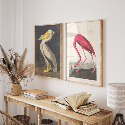 Vintage Bird Illustration 3 Piece Wall Art Set - Flamingo, Lovebirds & Pelican Print, Natural History Poster Set