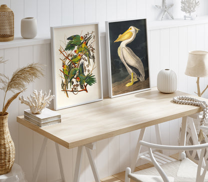 Vintage Bird Illustration 3 Piece Wall Art Set - Flamingo, Lovebirds & Pelican Print, Natural History Poster Set
