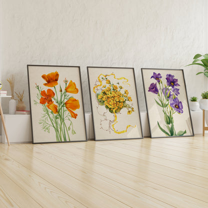 Botanical Floral Wooden Framed Wall Art Print Set of 3