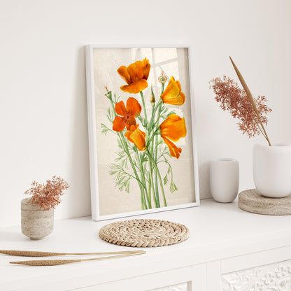 Botanical Floral Wooden Framed Wall Art Print Set of 3