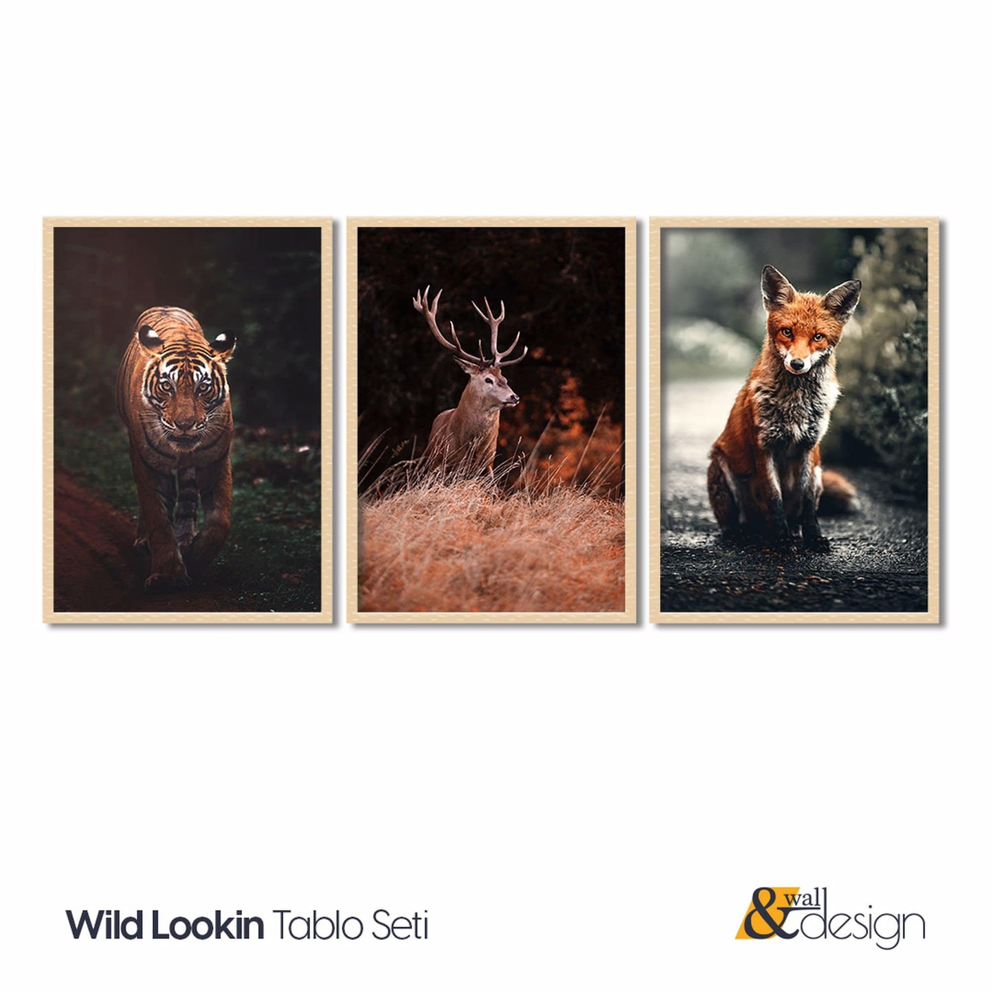 Wild Lookin - Nature FRAMED Wall Art Set of 3 Pieces