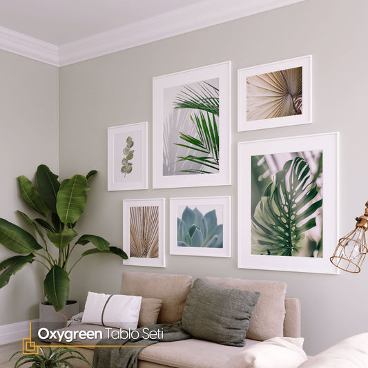 Oxygreen 6 Pieces Tropical FRAMED Prints Gallery Wall Art Poster Set