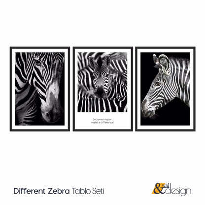 Zebras 3 Pieces FRAMED Prints Wall Art Poster Set