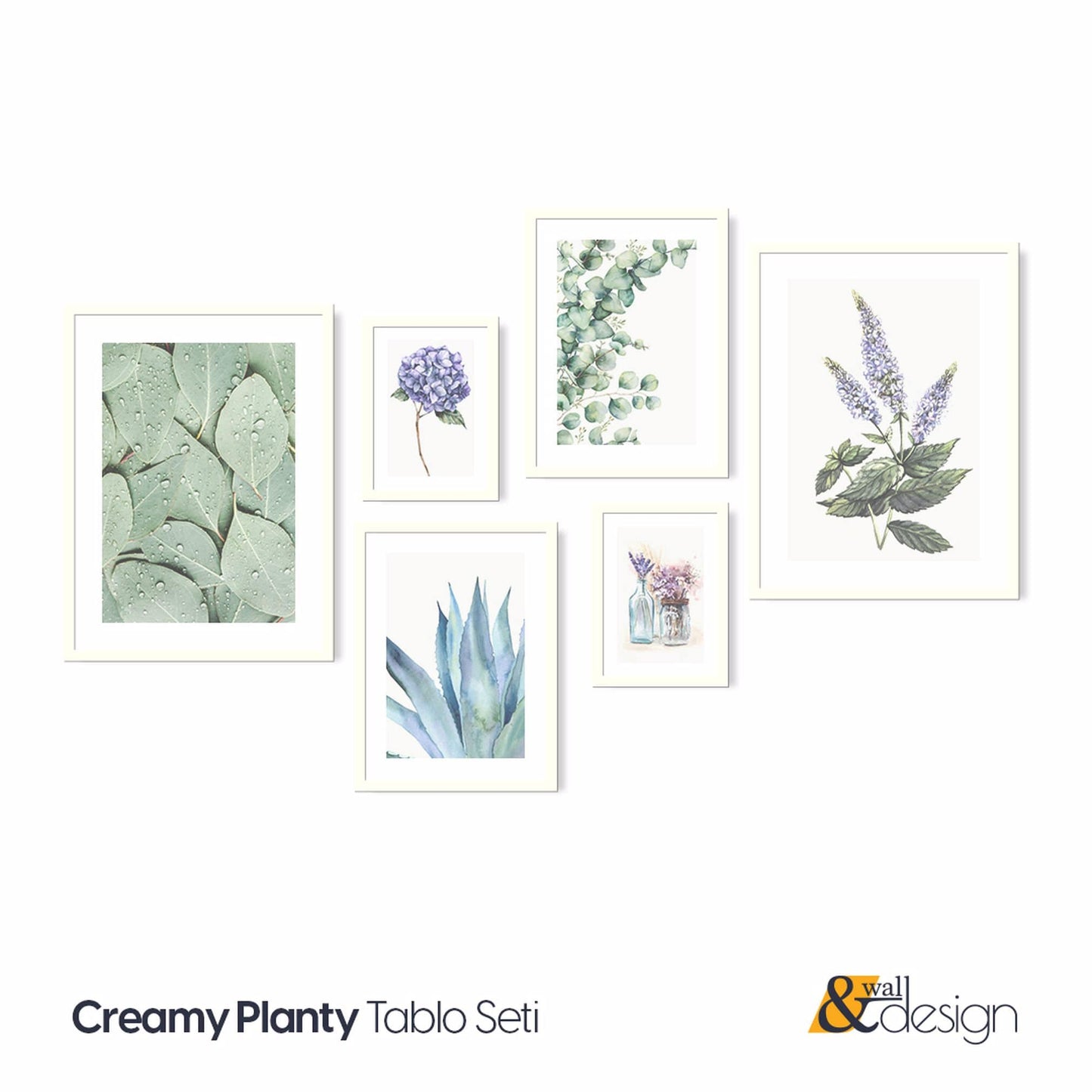 Creamy Platy - 6 Pieces Gallery Floral Wall Art FRAMED