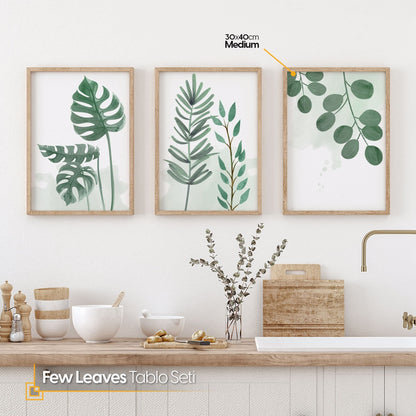 Few Leaves 3 Pieces Watercolor Botanical FRAMED Wall Art
