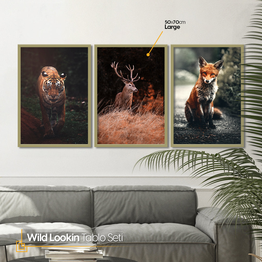 Wild Lookin - Nature FRAMED Wall Art Set of 3 Pieces