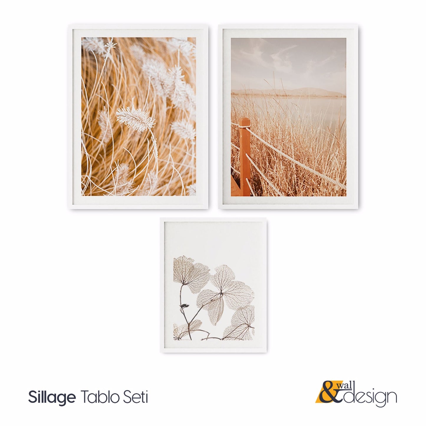 Sillage 3 Pieces Pampas Grass Prints FRAMED Wall Art Set