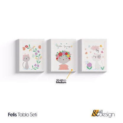Felis - Sweet Cats Framed Nursery Wall Art Set of 3 Pieces