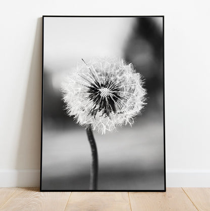 Black White - 4 Pieces Wooden Framed Landscape Wall Gallery Set