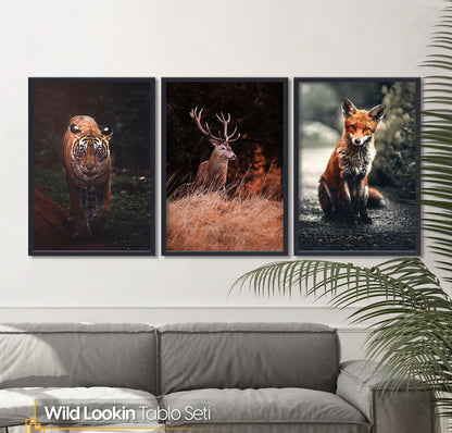 Wild Lookin - Nature FRAMED Wall Art Set of 3 Pieces