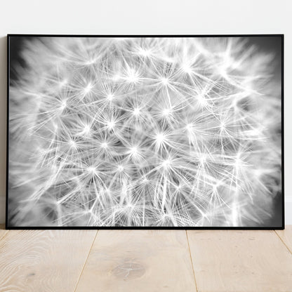 Dandelion - Framed Dandelion Wall Art Set Of 5 Pieces