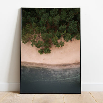 Believe Forest - FRAMED Nature Landscape Wall Art Set of 6 Pieces