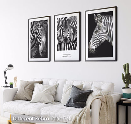 Zebras 3 Pieces FRAMED Prints Wall Art Poster Set