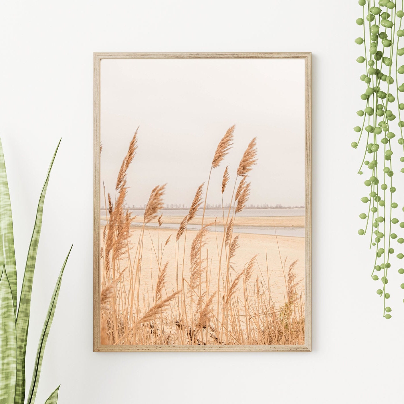 FRAMED Boho Print Art Set of 3 Coastal Pampas Grass Gallery Wall Decor Frame Wall Art Home Artwork Decoration for Living RoomBedroom