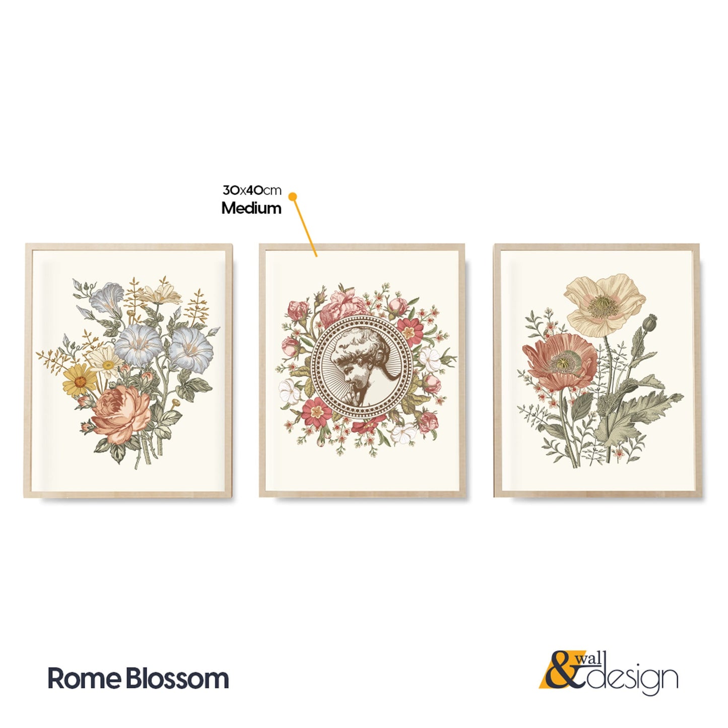 Rome Blossom - Vintage Flower Wall Art FRAMED Set of 3 Pieces