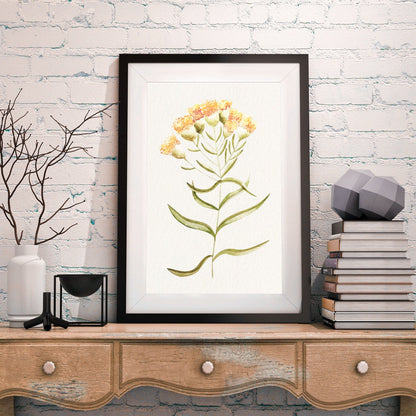Beu Charm - FRAMED Gallery Wall Set Flower Print Set of 3 Pieces
