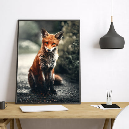 Wild Lookin - Nature FRAMED Wall Art Set of 3 Pieces