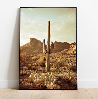 Arizona - FRAMED Art Print Set of 6 Arizona Desert Gallery Wall Art