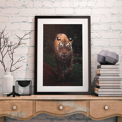 Wild Lookin - Nature FRAMED Wall Art Set of 3 Pieces