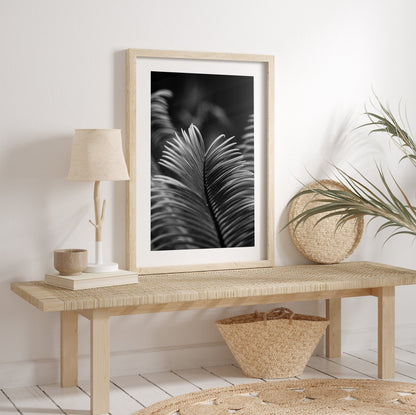 Beu in Black - Black and White Wall Art Poster Set FRAMED