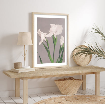 Pelican - FRAMED Gallery Wall Set Floral Print Set of 4 Flower Posters