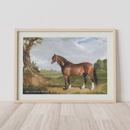 Horsemen - FRAMED Gallery Wall Set Farm House Print Set of 4 Horse Posters