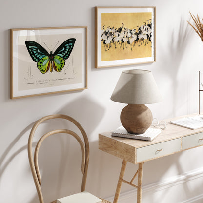 Serenity Ease - Eclectic Gallery Wall Set of 9 FRAMED