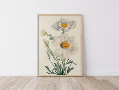 Gentle Flowers - Vintage FRAMED Gallery Wall Art Set of 7 Wall Art Prints