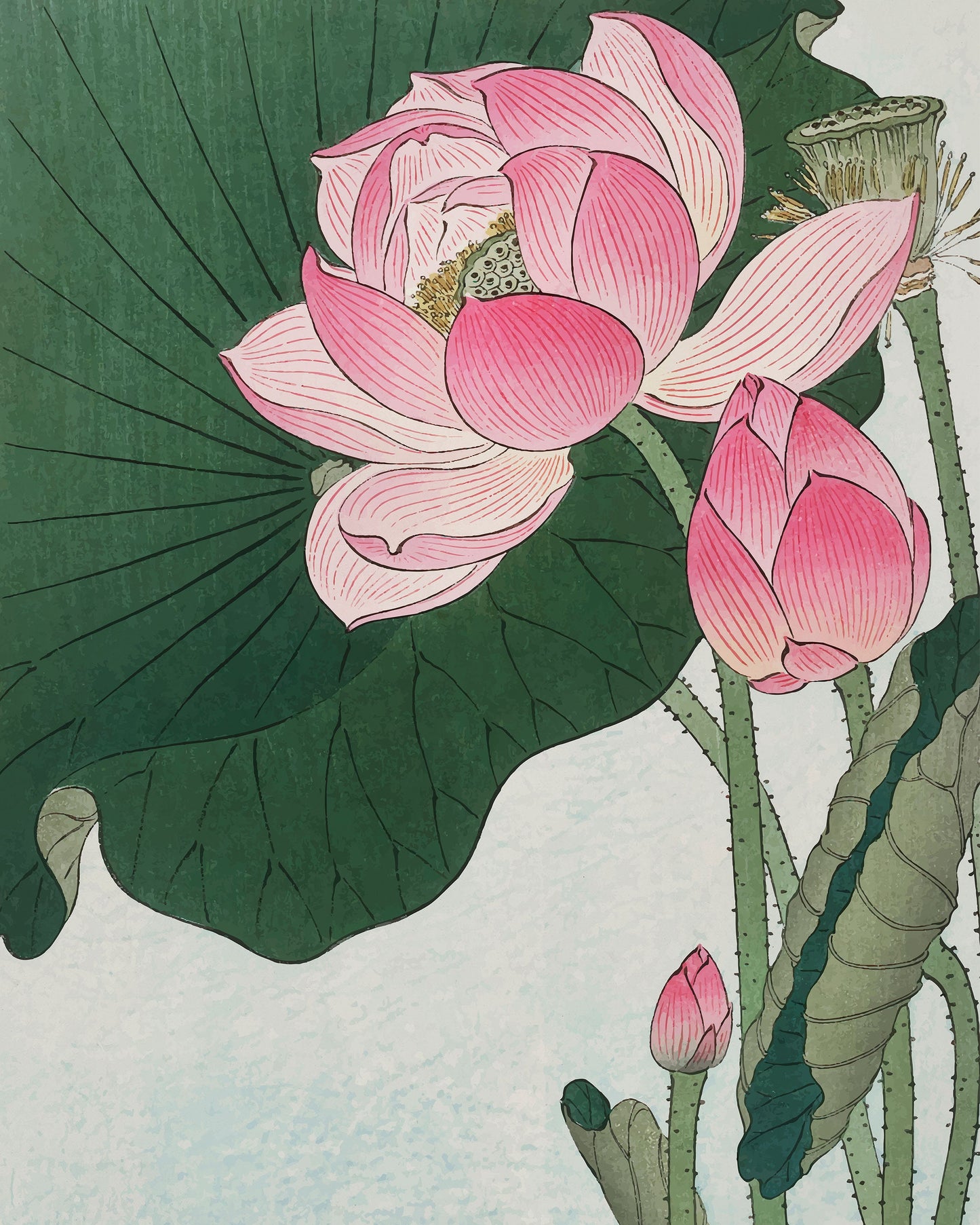 Lotus - Wooden Framed Wall Art Set of 2 Ohara Koson