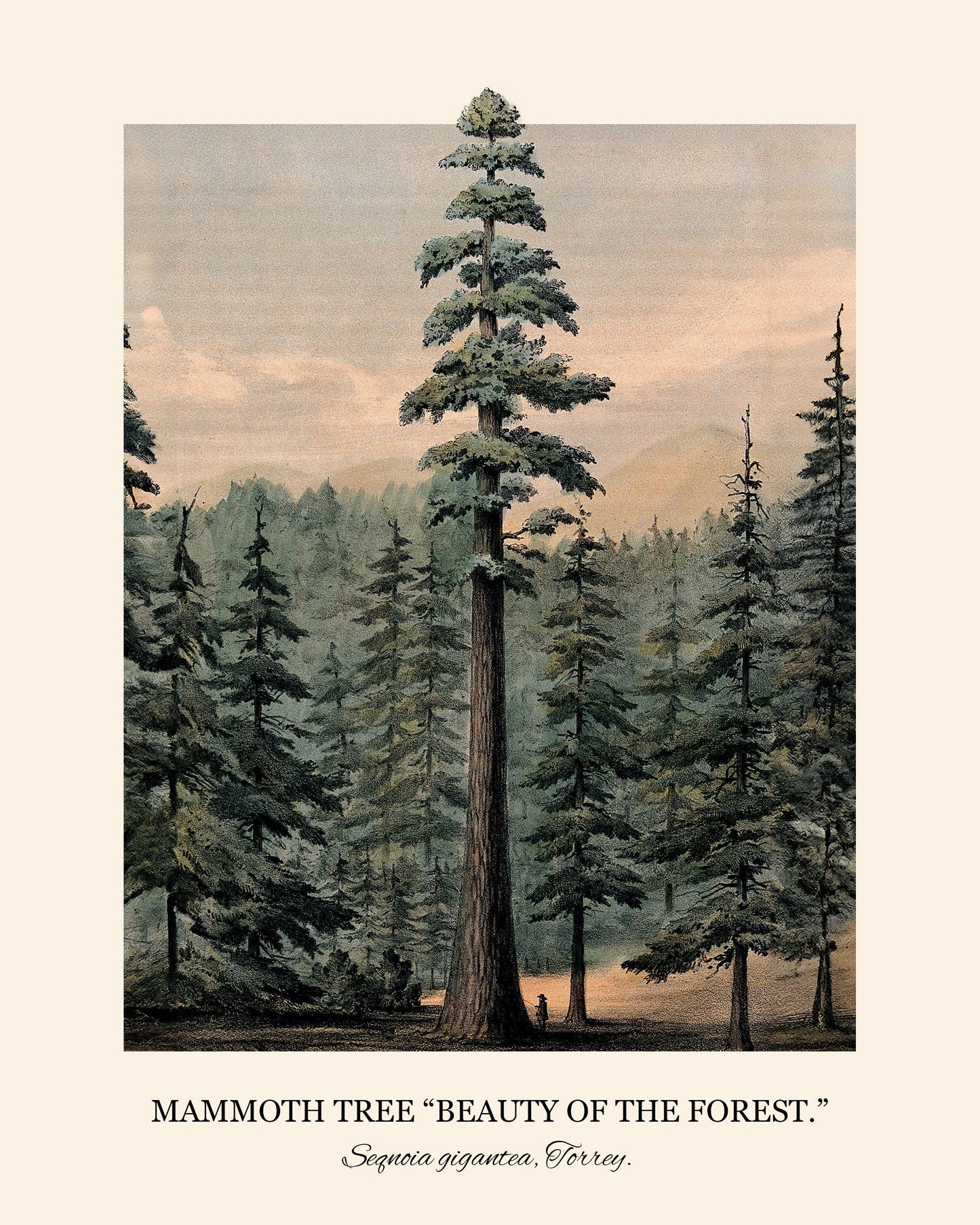 Green Tree - FRAMED Wall Art Set of 2 Landscape Painting Framed